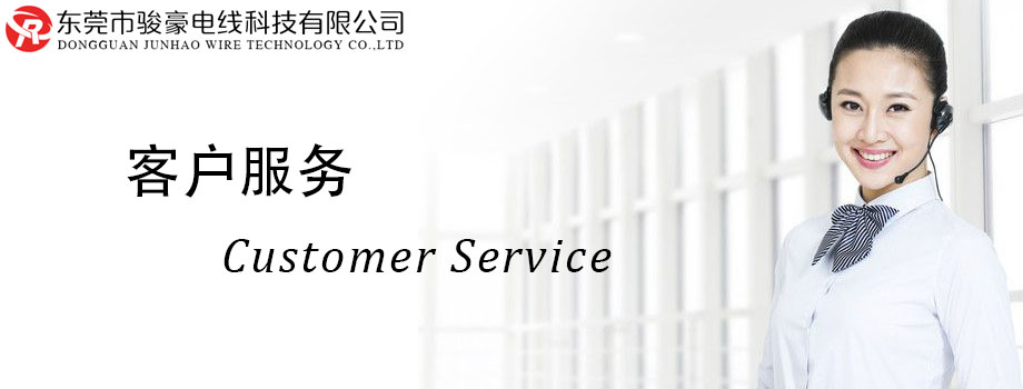 J9九游国际电线客户服务中心
